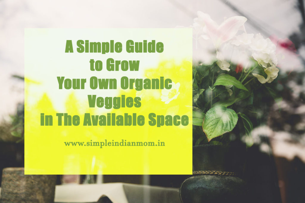 Grow Your Own Organic Veggies