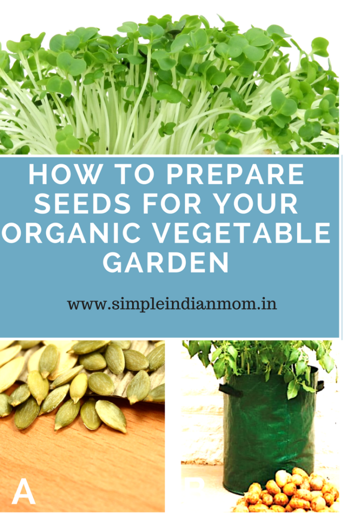 Seeds for organic vegetables