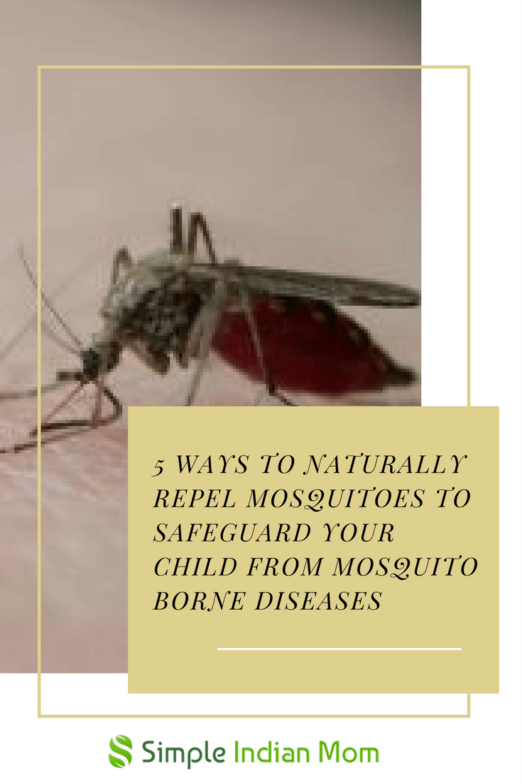 5 Ways To Naturally Get Rid Of Mosquitoes