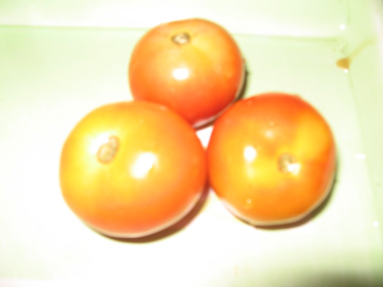 How to Store Tomato – Tomato Puree