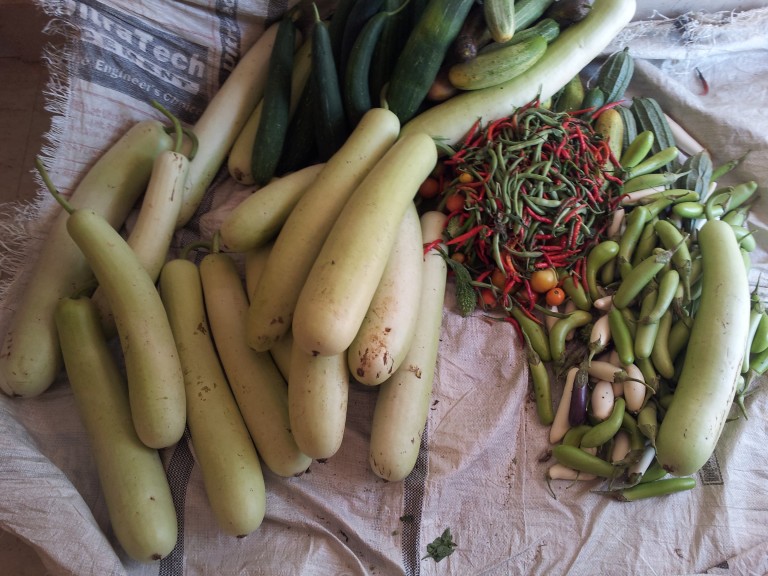 Vegetable Production at Home Vegetable Production at Home