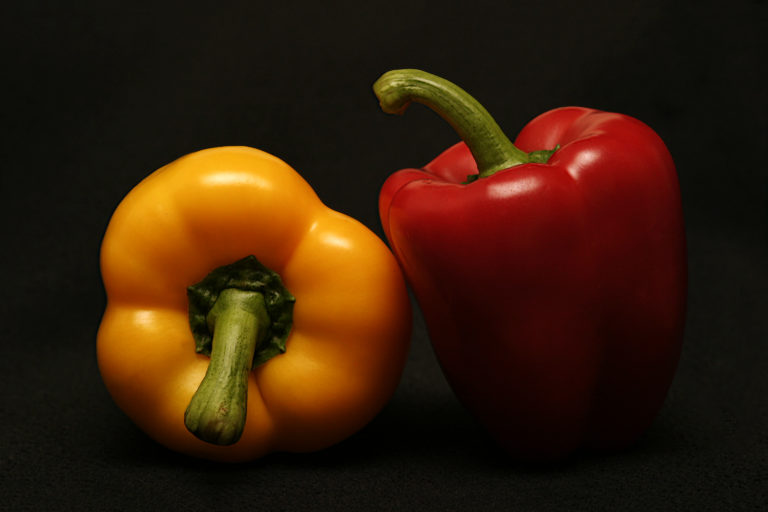 Pregnancy Diet That Would Help You Increase Your Nutritional Intake Pregnancy Diet That Would Help You Increase Your Nutritional Intake