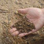 easy soil test