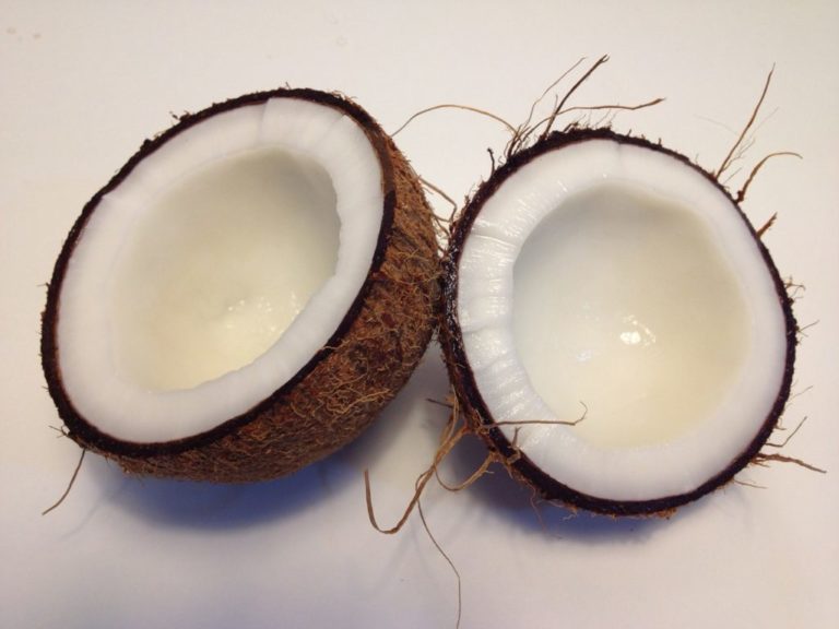 Miraculous Benefits Of Coconut Oil Akin to Mother’s Milk Miraculous Benefits Of Coconut Oil Akin to Mother’s Milk