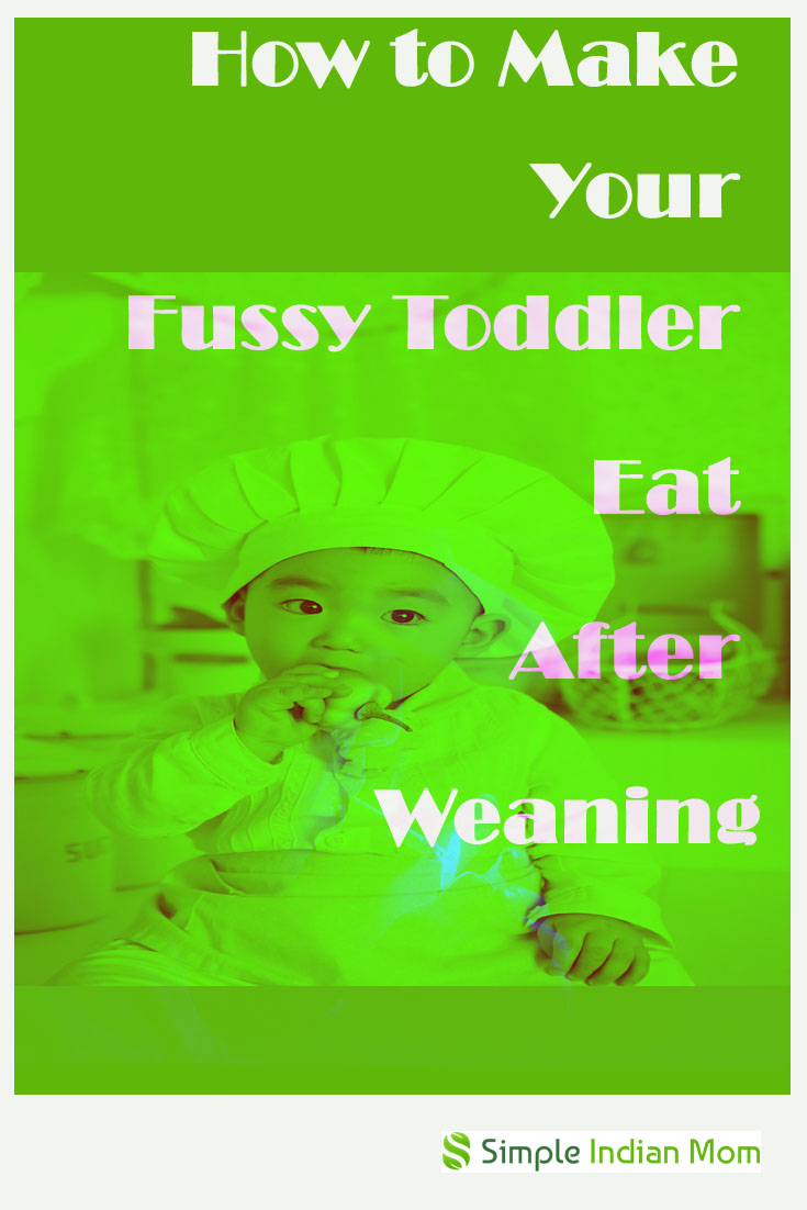 How to Make Your Fussy Toddler Eat - Simple Indian Mom