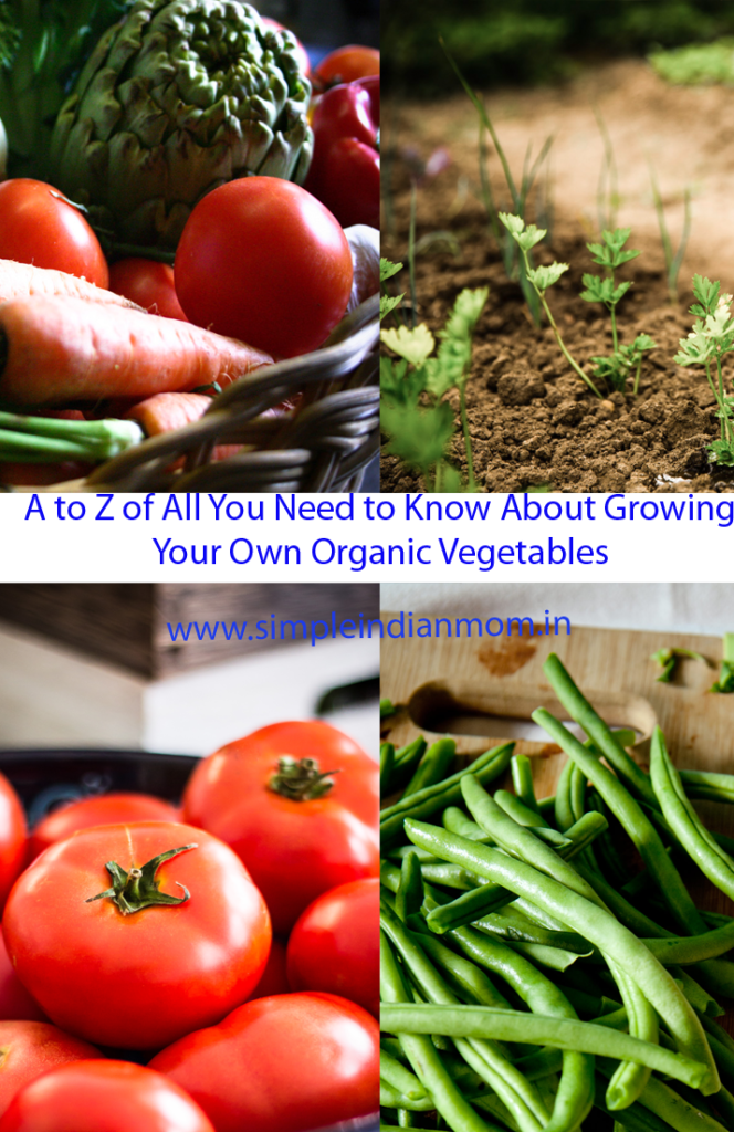  Growing Your Own Organic Vegetables