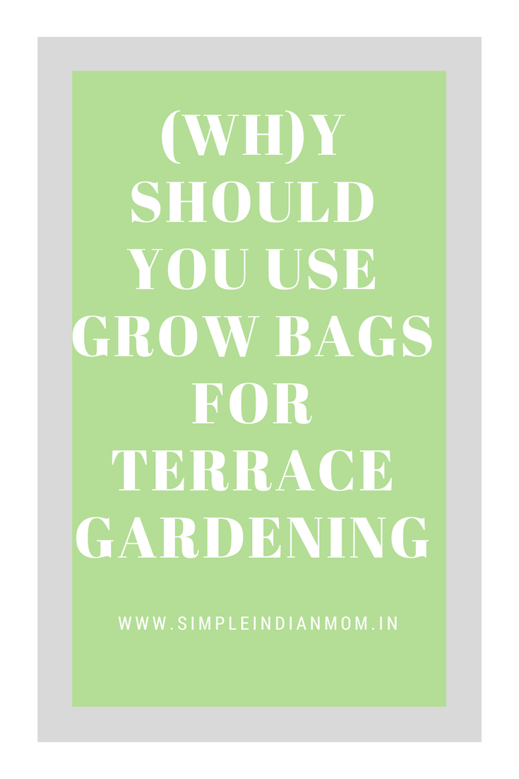 Grow Bags for Terrace Gardening