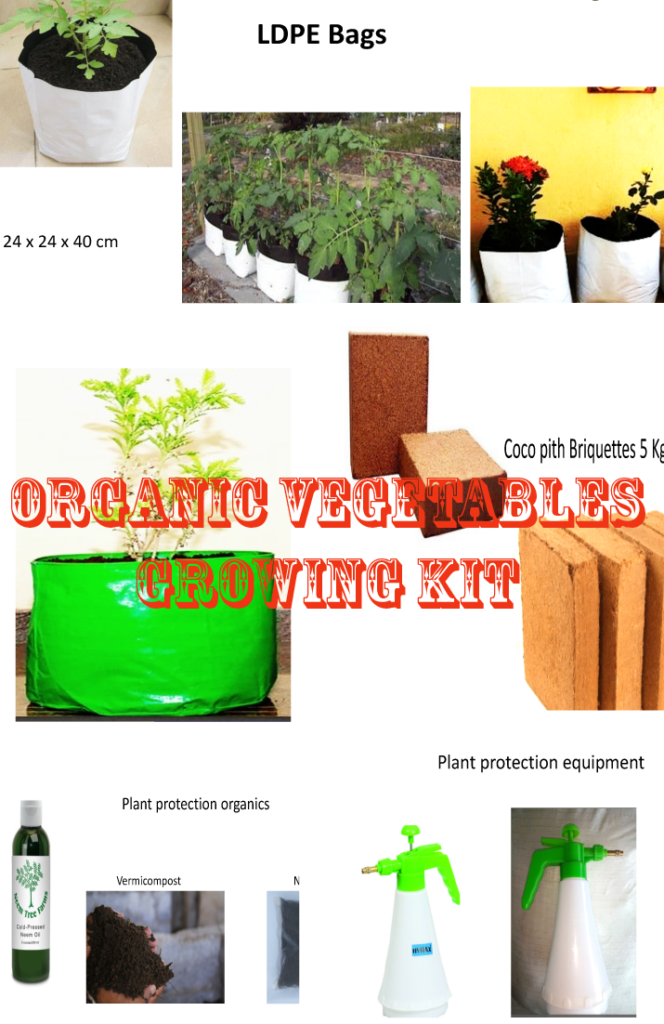 Organic Vegetable Growing Kit