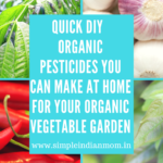 Quick Organic Pesticides That You Can Make At Home For Your Organic Vegetable Garden