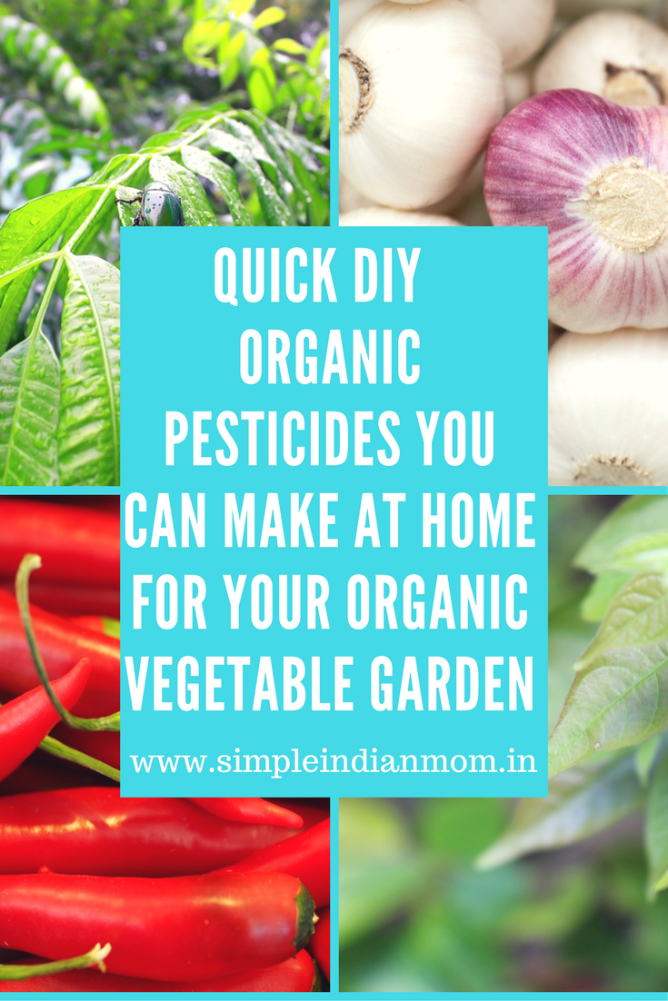 DIY organic pesticides