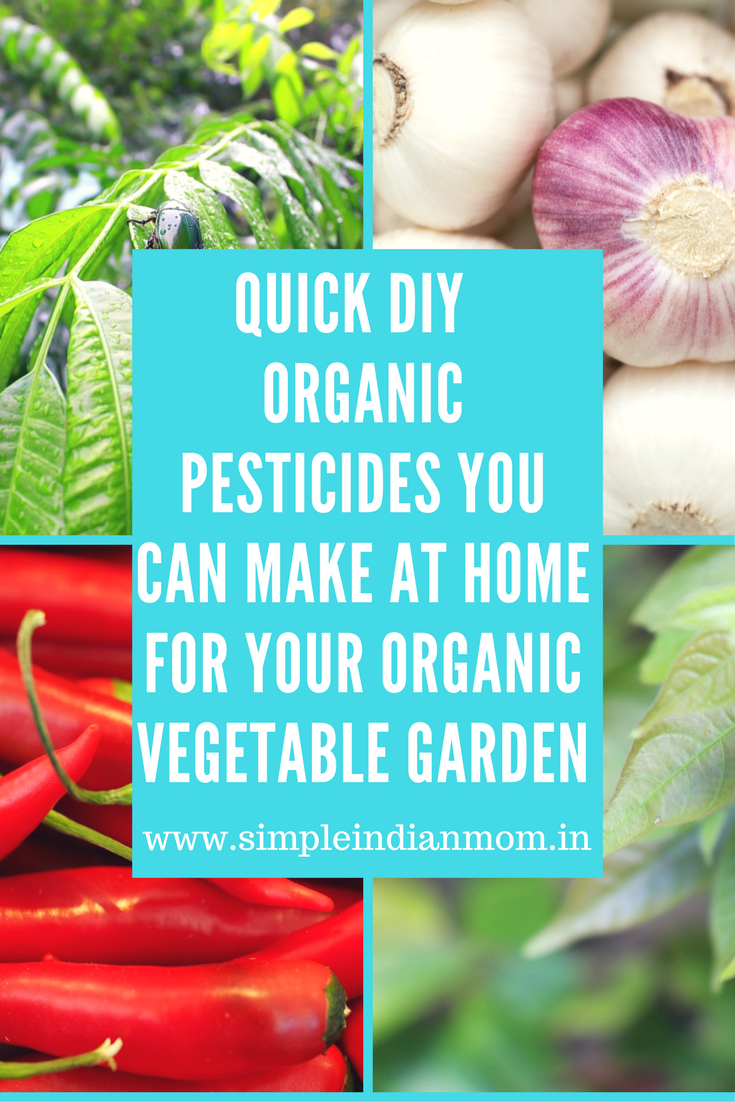 Quick Diy Organic Pesticides You Can Make At Home For Your Organic