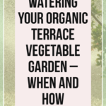watering your organic terrace garden
