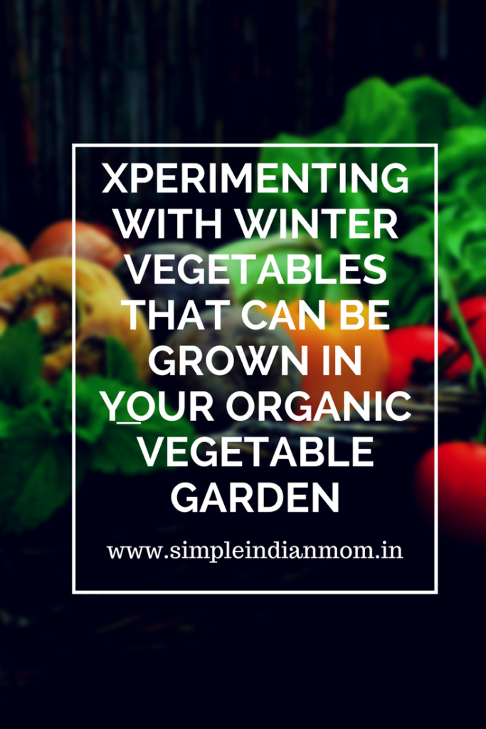 Winter Vegetables