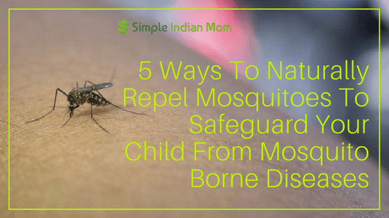 Naturally Get Rid Of Mosquitoes - Simple Indian Mom