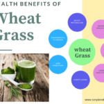 Health Benefits Of Wheat Grass