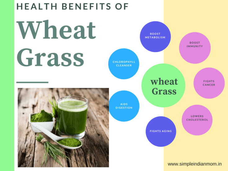 Health Benefits Of Wheat Grass - SIM Organics