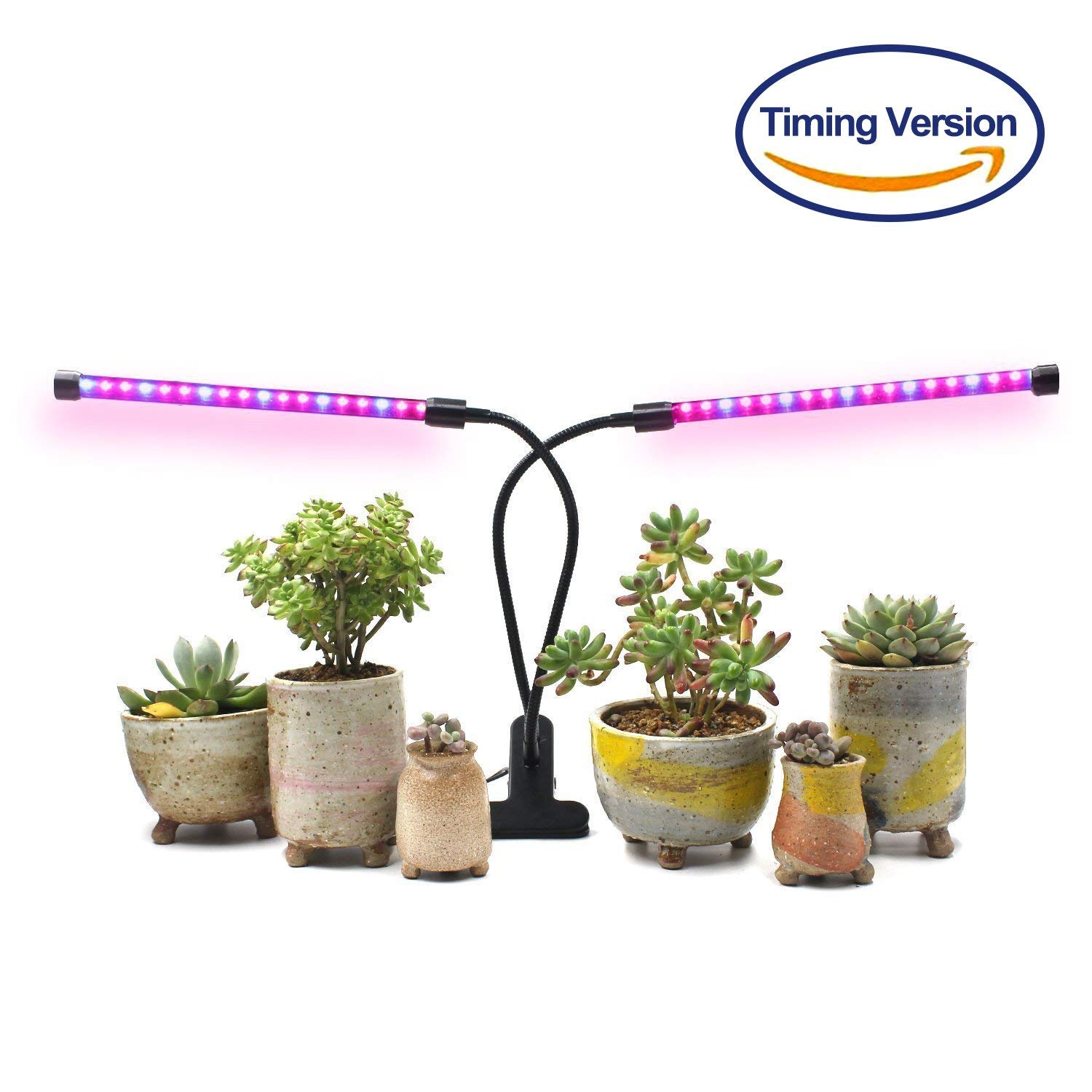 Light for indoor Plants