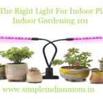 Using The Right Light For Indoor Plants – Indoor Gardening 101