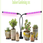 Using The Right Light For Indoor Plants – Indoor Gardening 101