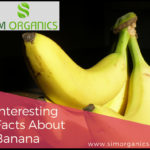 Interesting Facts About Banana
