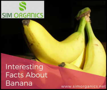 Interesting Facts About Banana