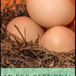 An Egg-Ceptional Super Food