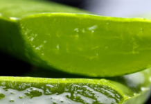 Benefits Of Aloe Vera, how to care for plant and Side Effects