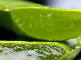 Benefits Of Aloe Vera, how to care for plant and Side Effects