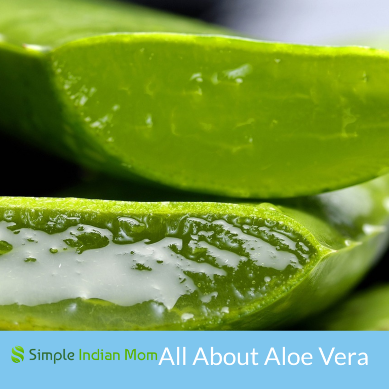 All You Need To Know About Aloe Vera Benefits, Uses, Care and Side Effects