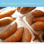 What Vegetable is Elephant foot Yam ?