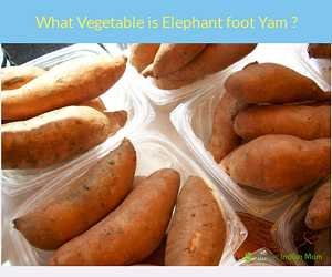 The image is of Elephant Foot Yam which is a fibrous vegetable