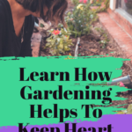 Doea Gardening Help You To Keep Your Heart Healthy